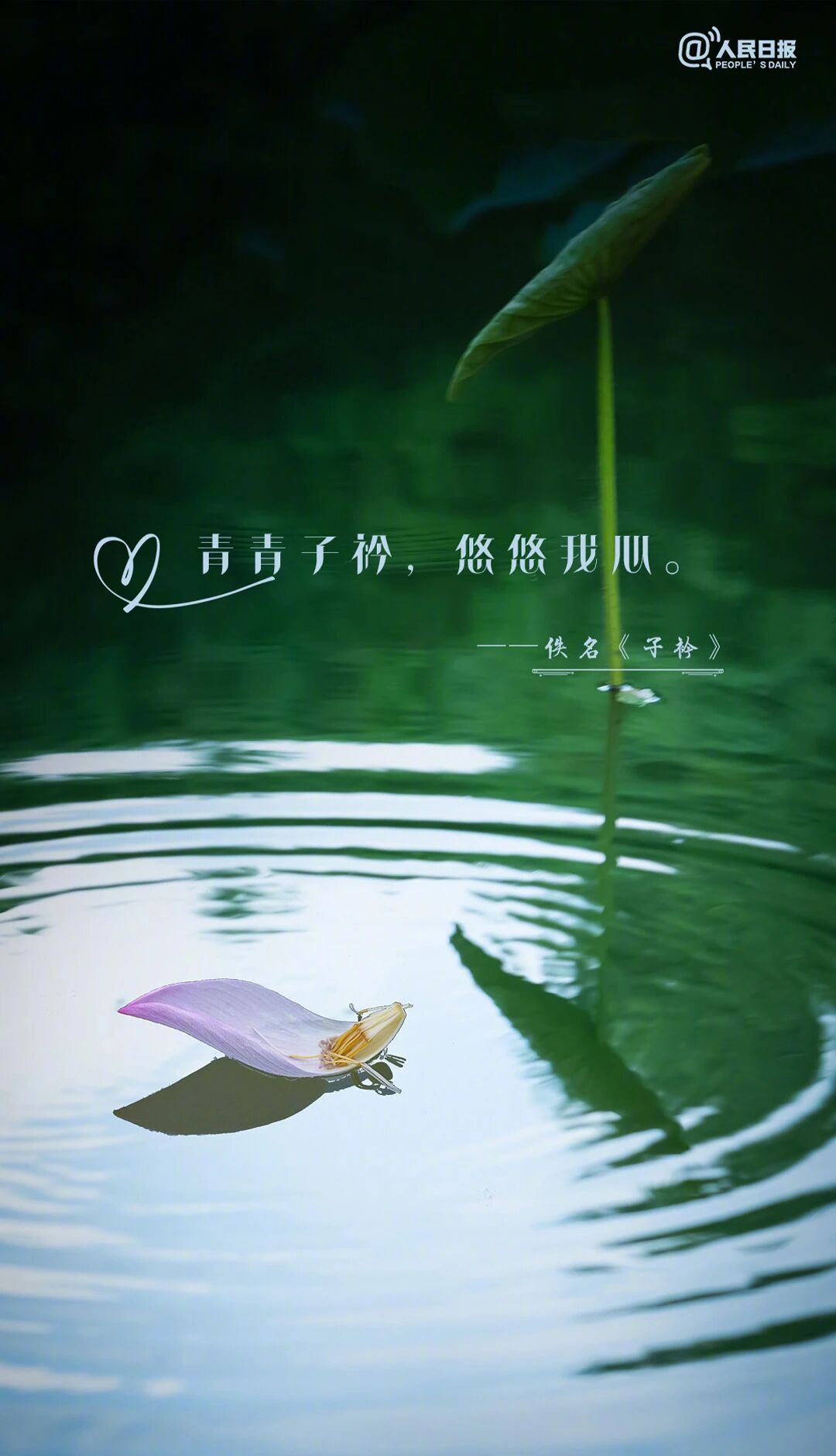 mmexportf4cb9bda9388f055588d870e7b2f506d_1756431450830.jpeg